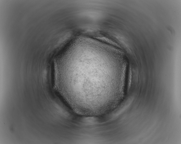 X0000113860269200910081712