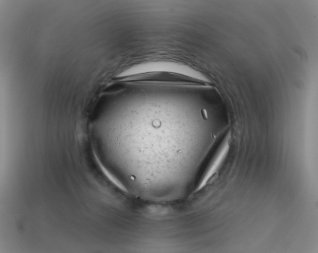 X0000113860272200910081712
