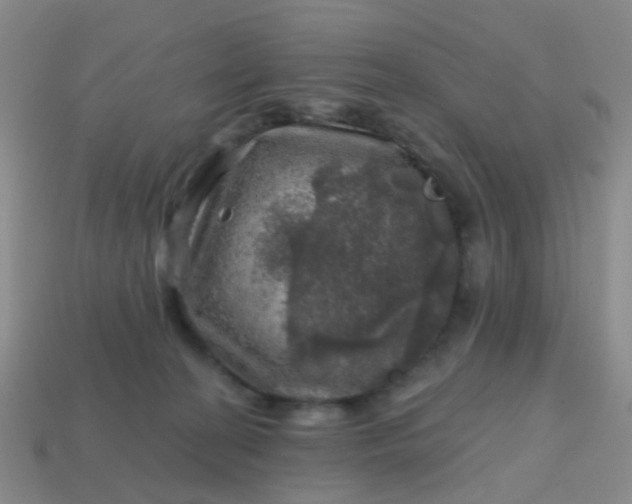 X0000113860274200910081712