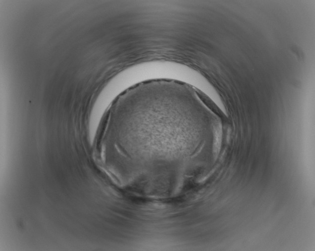 X0000113860276200910081712