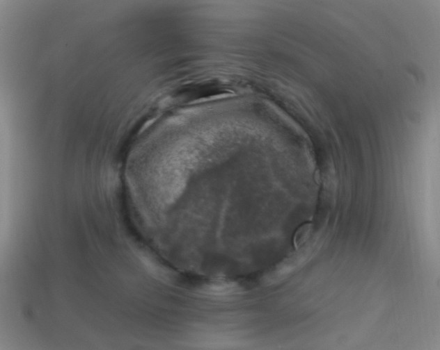 X0000113860278200910081712