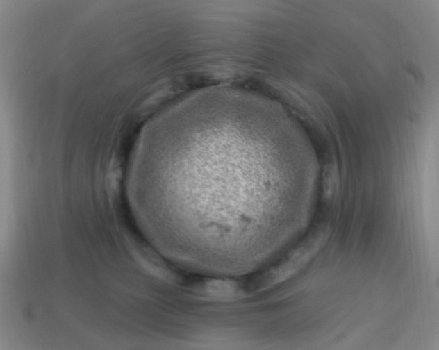 X0000113860279200910081712