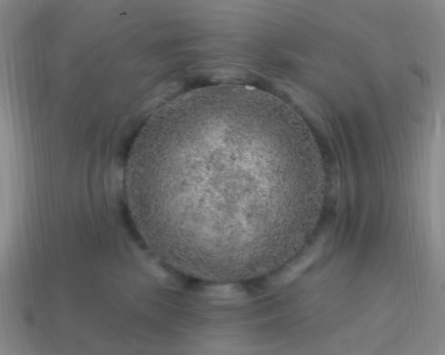 X0000113860281200910081712