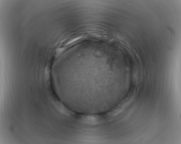 X0000113860282200910081712