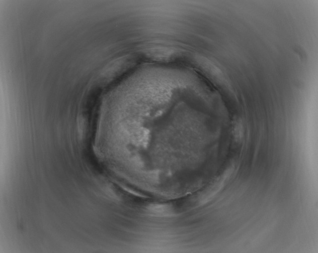 X0000113860283200910081712