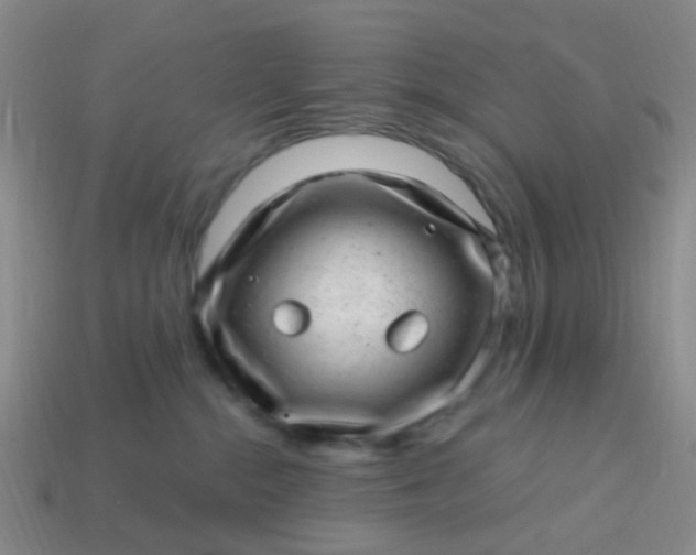X0000113860284200910081712