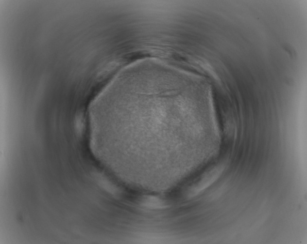 X0000113860285200910081712
