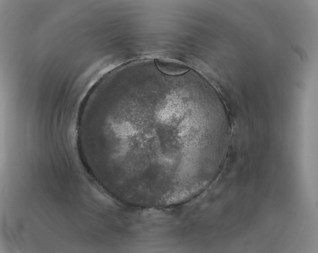 X0000113860290200910081712
