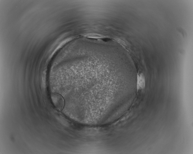 X0000113860291200910081712