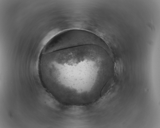 X0000113860292200910081712