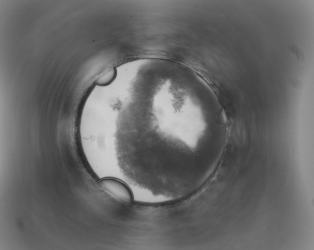 X0000113860293200910081712