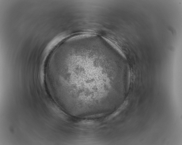 X0000113860294200910081712