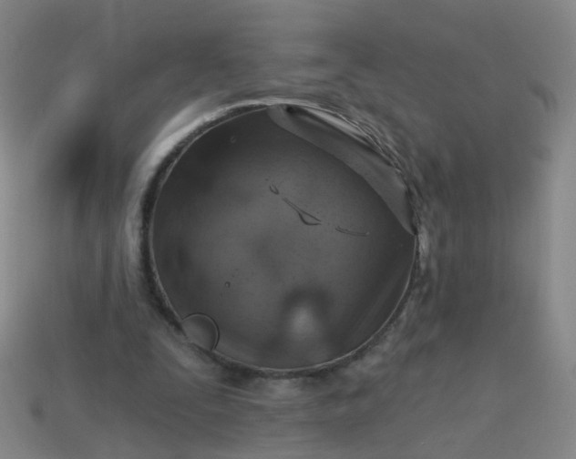 X0000113860295200910081712