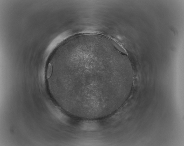 X0000113860296200910081712