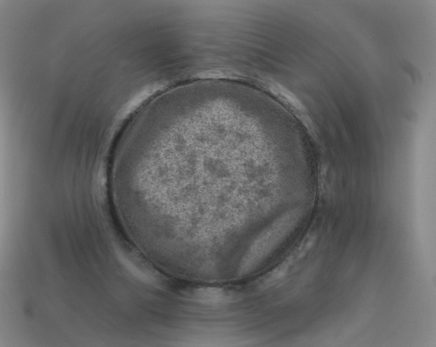 X0000113860298200910081711