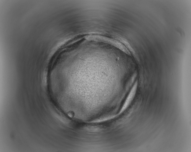 X0000113860299200910081711
