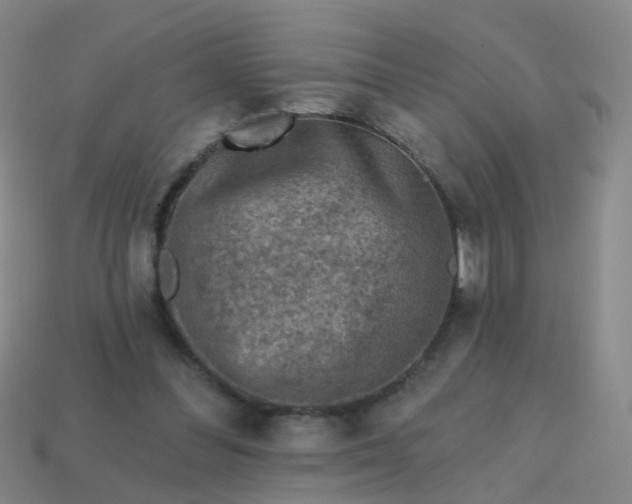 X0000113860300200910081711