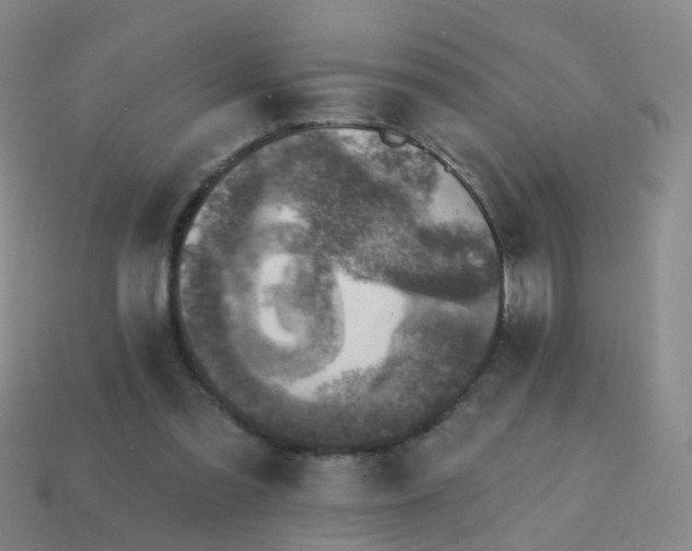 X0000113860301200910081711