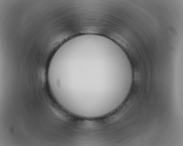 X0000113860302200910081711