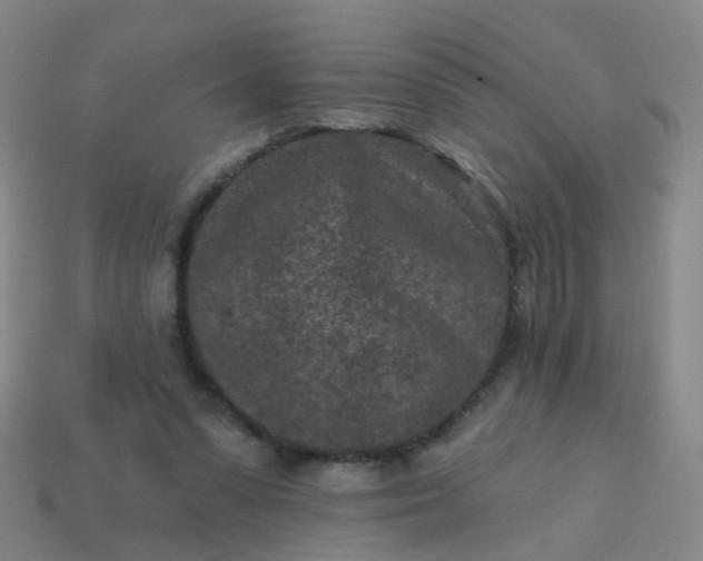 X0000113860303200910081711