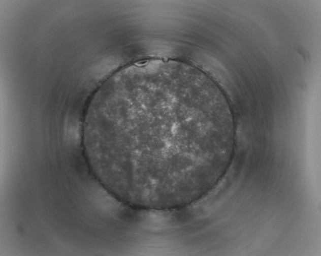 X0000113860305200910081711