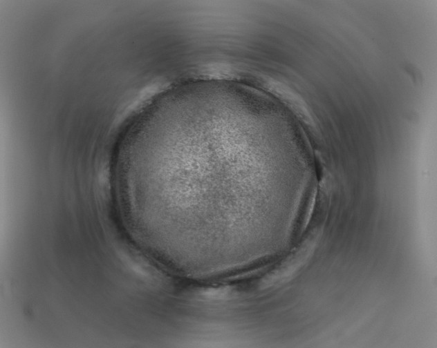 X0000113860306200910081711