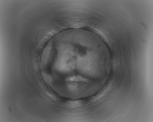 X0000113860307200910081711