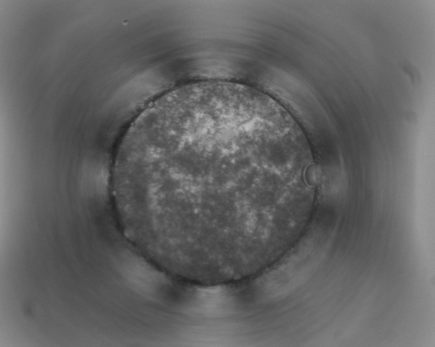 X0000113860309200910081711