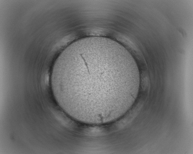 X0000113860310200910081711