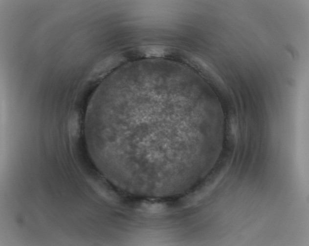 X0000113860311200910081711