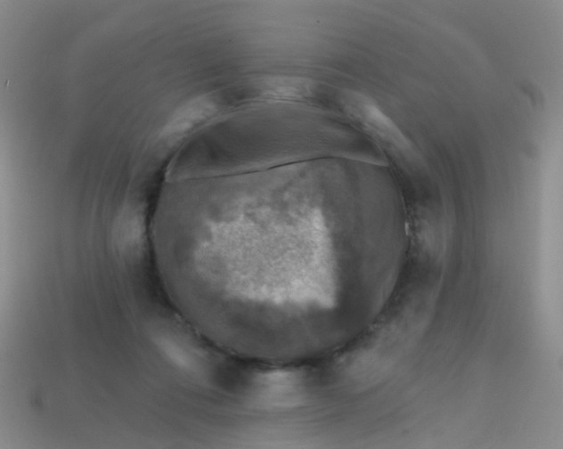 X0000113860312200910081711