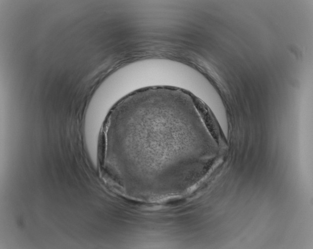 X0000113860313200910081711