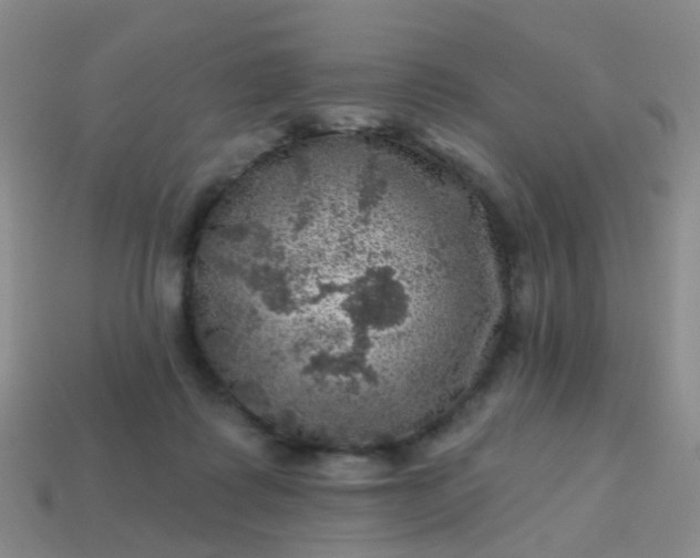 X0000113860315200910081711