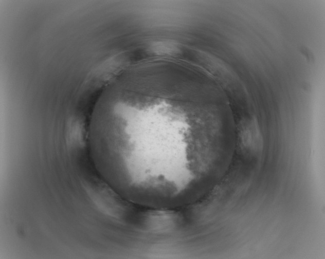 X0000113860316200910081711