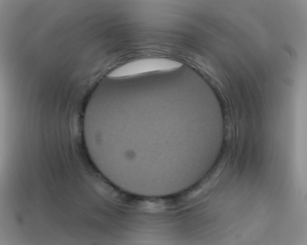 X0000113860317200910081711