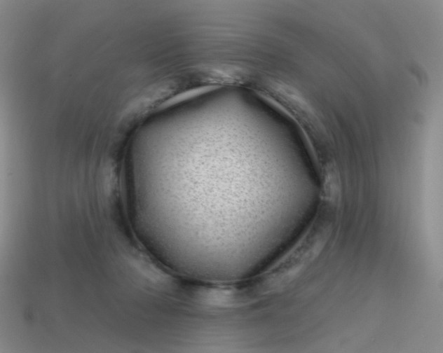 X0000113860318200910081711