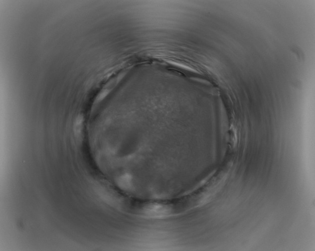 X0000113860319200910081711
