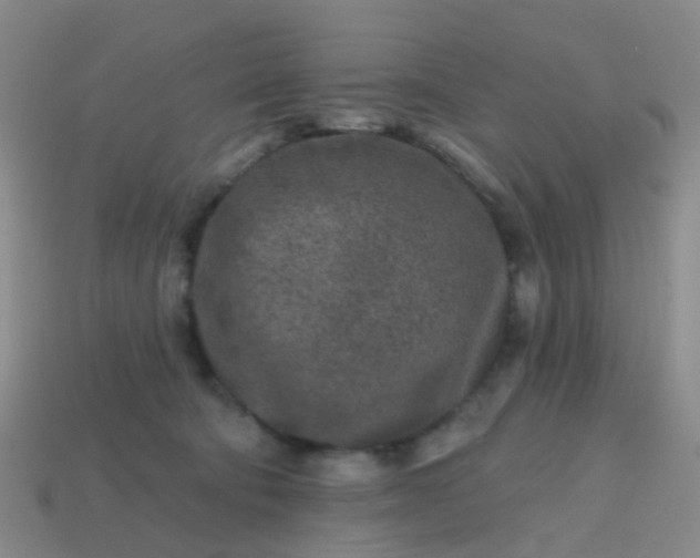 X0000113860322200910081711