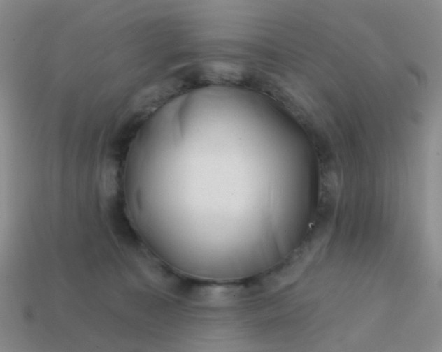 X0000113860323200910081711