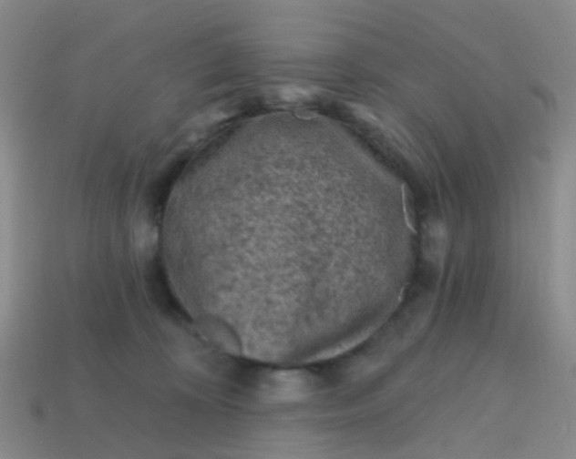 X0000113860324200910081711