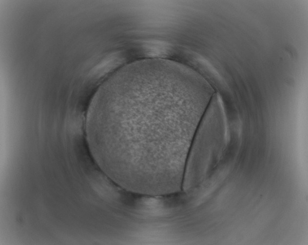 X0000113860325200910081711