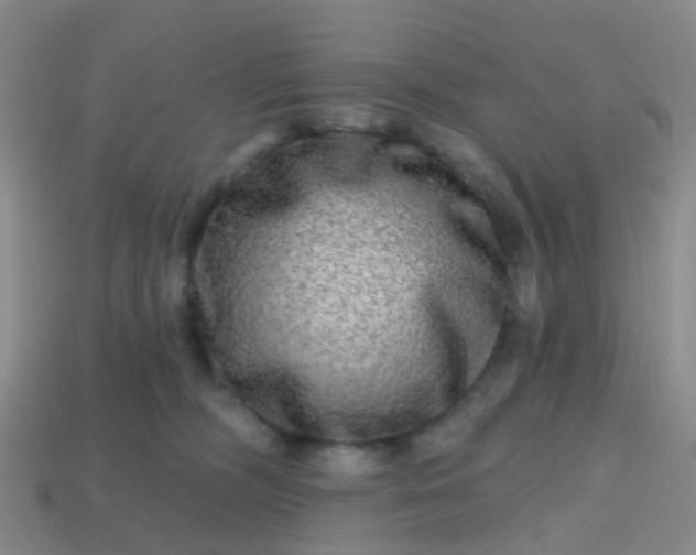 X0000113860326200910081711
