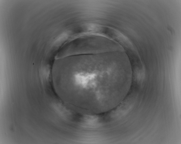 X0000113860328200910081711