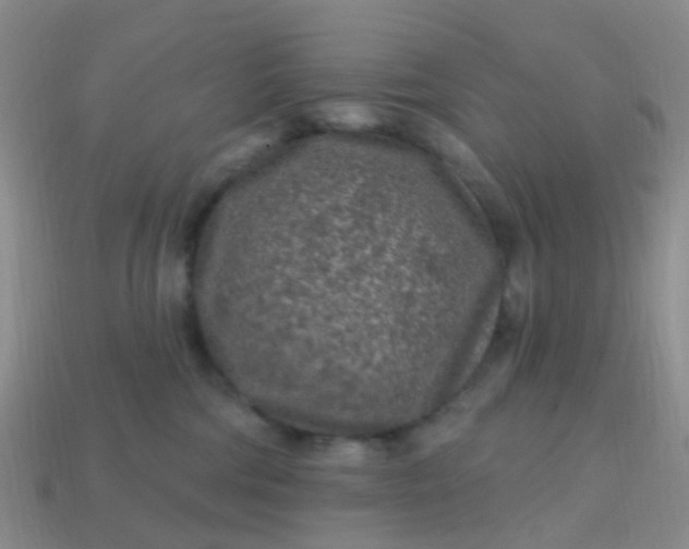 X0000113860330200910081711