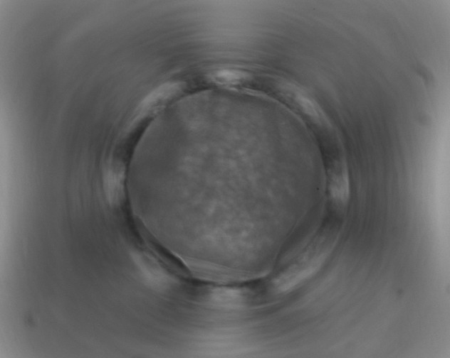 X0000113860332200910081711