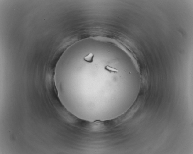 X0000113860333200910081711