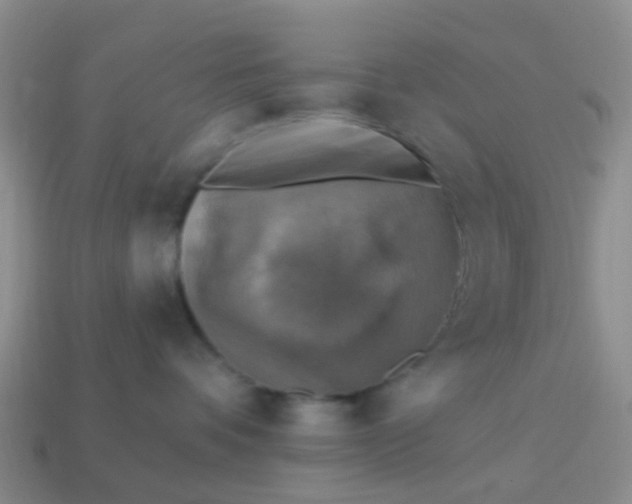 X0000113860336200910081711