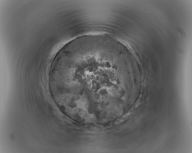 X0000113860337200910081710