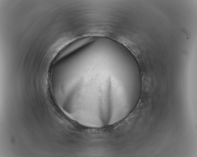 X0000113860338200910081710