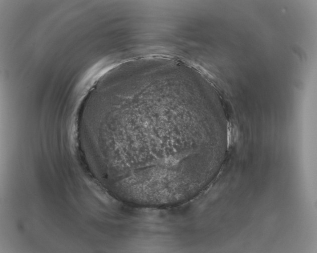 X0000113860339200910081710